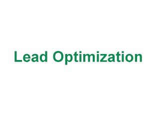 Lead Optimization